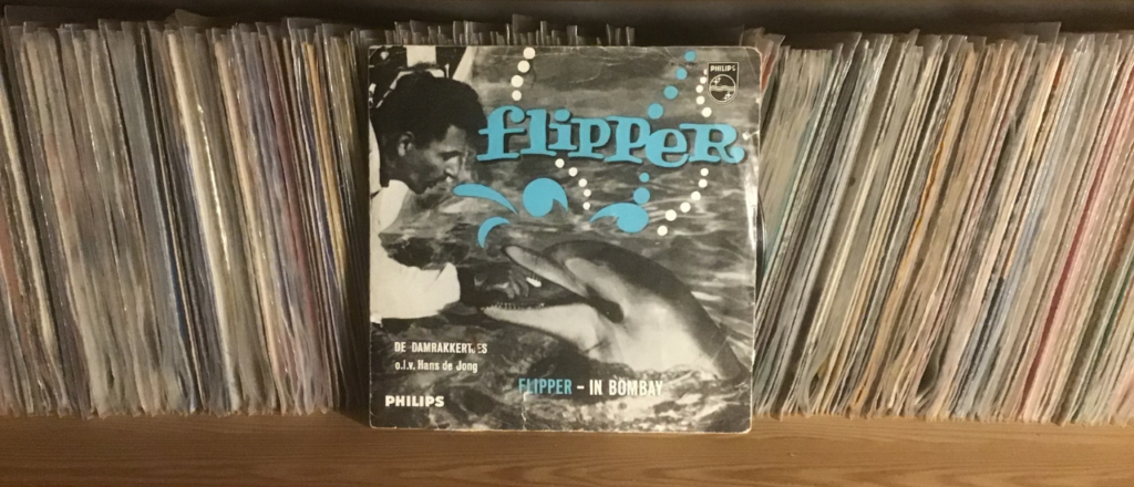 dolfijn flipper