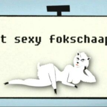 fokschaap