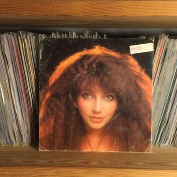 Kate Bush