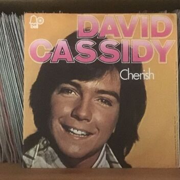 David Cassidy