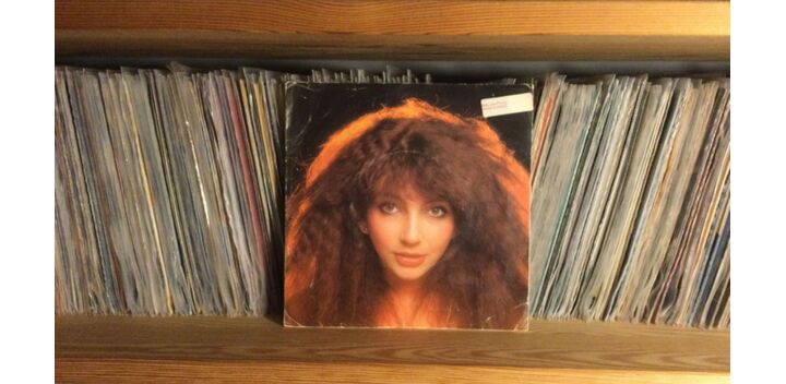 Kate Bush