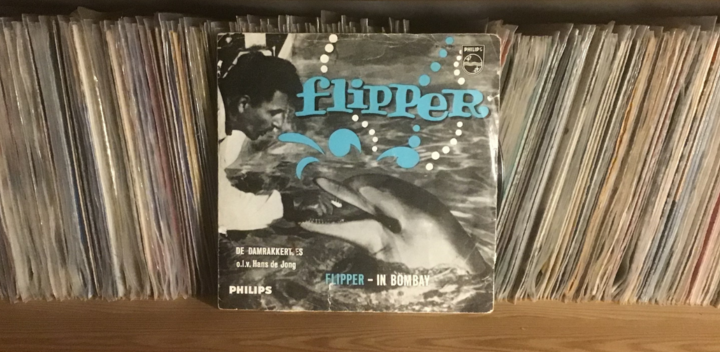 dolfijn flipper